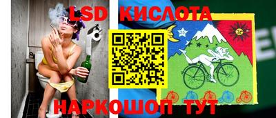 гидропоника Можайск