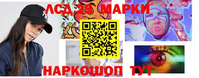 гидропоника Можайск