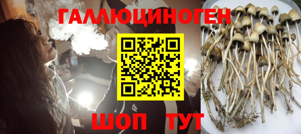 Стрежевой  Галлюциногенные грибы Psilocybe  Псилоцибиновые грибы мухоморы  купить  сайты  Вход с VPN 